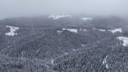 Kartpostallık manzara: Ilgaz Dağı beyaza b&uuml;r&uuml;nd&uuml;