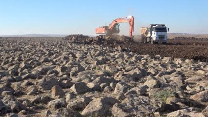 Şırnak&rsquo;ta atıl araziler milli servete d&ouml;n&uuml;şt&uuml;