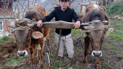 Aydın'da aile i&ccedil;i cinayet: 22 yaşındaki gen&ccedil; &ouml;ld&uuml;r&uuml;ld&uuml; 
