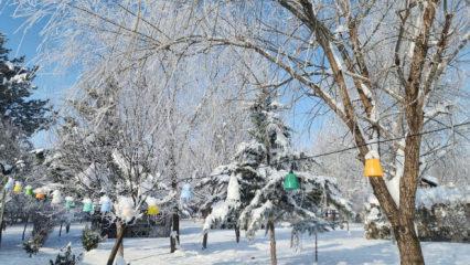 Elazığ'da termometreler eksi 22'yi g&ouml;sterdi