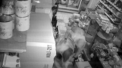 Gaziantep'te markete sığınan k&uuml;&ccedil;&uuml;k kızı darbedip defalarca bı&ccedil;akladı