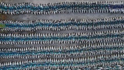 İBB milyonlarca liralık bisikletleri hurdaya &ccedil;ıkardı!