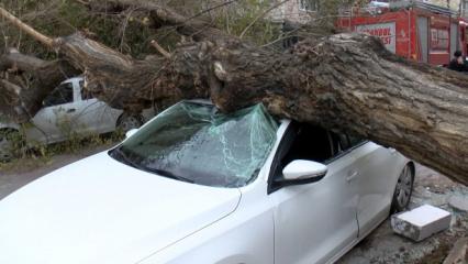 İstanbul'da lodos kabusu! Ağa&ccedil;lar yıkıldı, tekneler devrildi: 1 saniye ile kurtuldum