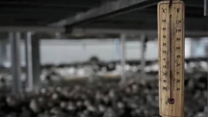 1 odada başladı, şimdi siparişlere yetişemiyor: 40 g&uuml;nde tam 3,5 ton!