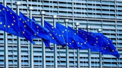 Rumların AB D&ouml;nem Başkanlığı r&uuml;yası