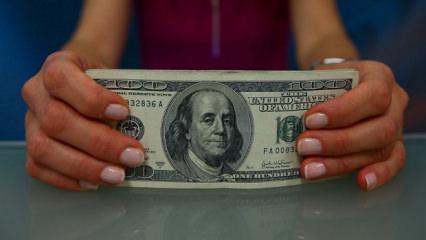 Yatırımcılar dikkat! 2025'in yatırım şampiyonu belli oldu!