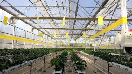 Ayda 60 bin ton atık servete d&ouml;n&uuml;ş&uuml;yor! &Ccedil;&ouml;plerden 9 milyon kilovatsaat elektrik!