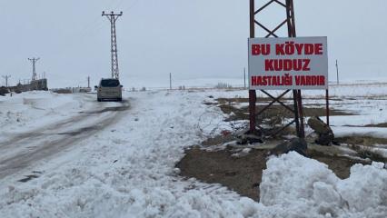 Bitlis'te kuduz alarmı: Bir k&ouml;y karantinaya alındı