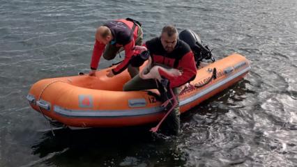 İzmir'de sorumsuzluk can yaktı: Yaralı flamingo kurtarıldı