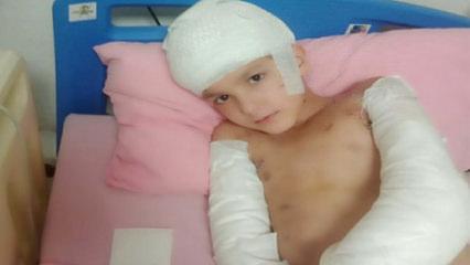 Tunahan&rsquo;ın davasında emsal karar: Sokak k&ouml;peği saldırısında g&ouml;r&uuml;lmemiş tazminat