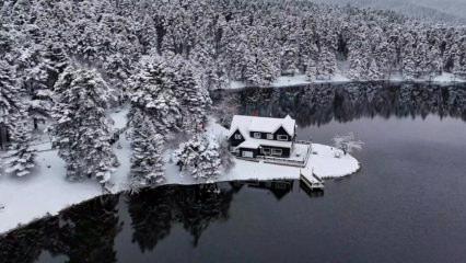 Bolu&rsquo;ya ziyaret&ccedil;i akını: 1 milyon 559 bin 487 kişi geldi! 