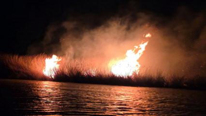 Hatay'da korkutan yangın: Milleyha Kuş Cenneti alevlere teslim oldu