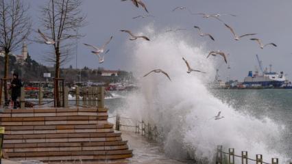 İstanbul Valiliği fırtına bilan&ccedil;osunu a&ccedil;ıkladı: 23 &ccedil;atı u&ccedil;tu, 80 su baskını yaşandı