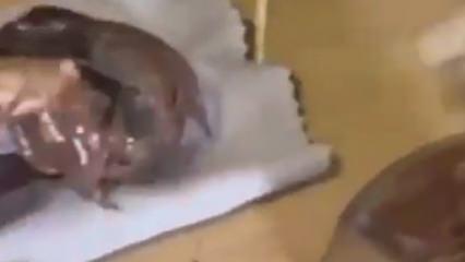 &Ccedil;ikolata kavanozundan kokain &ccedil;ıktı