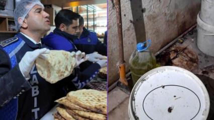 Mide bulandıran manzara: Fareyi ge&ccedil;tim, yılan &ccedil;ıkacak diye korkuyorum