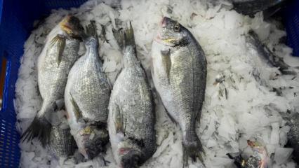 Su &uuml;r&uuml;nlerinde Cumhuriyet tarihinin rekoru! 93 &uuml;lke sıraya girdi! 