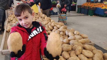 Sarıg&ouml;l pazarında dev patatesler ilgi odağı oldu