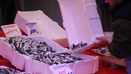 Tezgahlar istavritle doldu: Fiyatlar dibi g&ouml;rd&uuml;