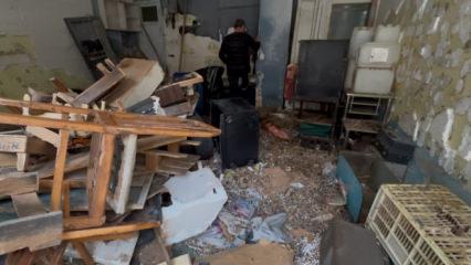 Y&uuml;zlerce farenin istila ettiği d&uuml;kkanın bulunduğu sokağı k&ouml;t&uuml; kokular sardı 