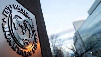 IMF'ye en fazla borcu olan &uuml;lke a&ccedil;ıklandı! İlk beşte iki İslam &uuml;lkesi var...