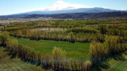 2B arazilerinde başvuru ve &ouml;deme s&uuml;resi uzatılıyor