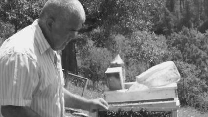 65 yaşındaki adamın feci &ouml;l&uuml;m&uuml;: Ağacın altında kaldı!