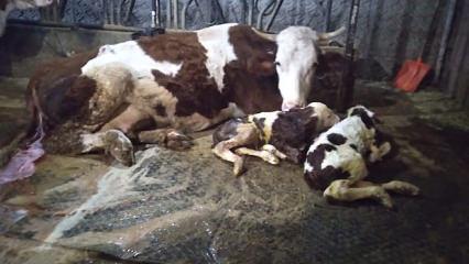 Besici, 15 g&uuml;n arayla &ouml;nce kahroldu sonra sevin&ccedil;ten havalara u&ccedil;tu