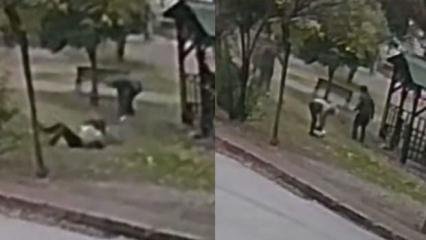 K&ouml;peğiyle y&uuml;r&uuml;y&uuml;şe &ccedil;ıkan kadına iki kurt k&ouml;peği saldırdı