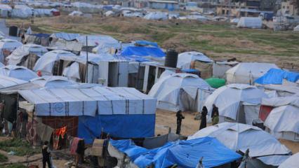 Gazze Komitesi Başkanı Şaath: Gazze'nin 7 yıla ihtiyacı var