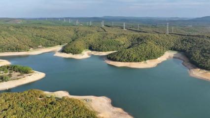 İstanbul'da etkili olan yağışlar aylar sonra y&uuml;zleri g&uuml;ld&uuml;rd&uuml;