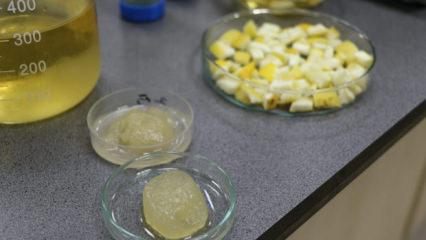 &Ouml;ğrencilerden ağa&ccedil; kavunu kabuğuyla b&uuml;y&uuml;k buluş: Tarımsal atıktan hidrojel &uuml;rettiler