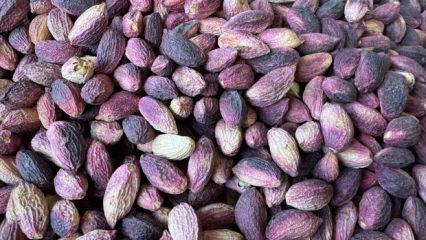 İhracat rakamları şaşırttı! Tam 178 milyon dolar! İşte en &ccedil;ok alan &uuml;lkeler!