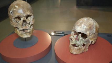 Samsun m&uuml;zelerini 800 bin kişi gezdi! 5 bin yıllık kafatası dikkat &ccedil;ekti