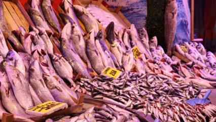 Soğuk havalar, balık tezgahlarını da vurdu