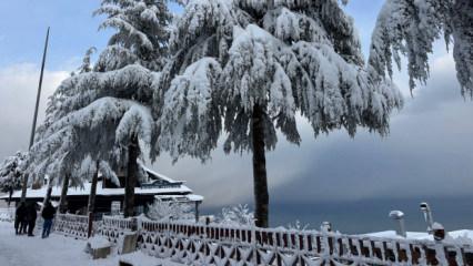 Son dakika: D&ouml;rt ilde okullar tatil edildi