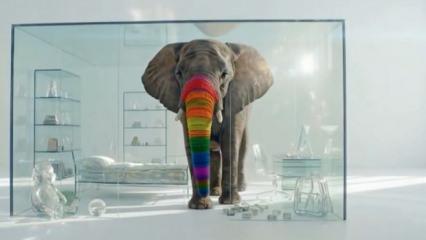 TRT'den yeni belgesel: G&ouml;kkuşağı Faşizmi