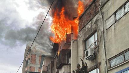 T&uuml;rkiye'de bir ilkti: G&uuml;vercin otelinde 100'den fazla kuş telef oldu