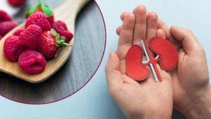 Her lokması koruyucu kalkan: B&ouml;brekleri koruyan en etkili besinler!