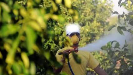 5 soruda tarımda "B-Re&ccedil;ete" uygulaması