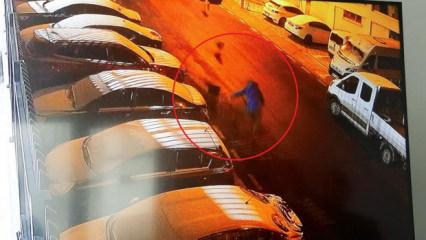 9 sokak k&ouml;peği saldırdı: Saldırıdan ka&ccedil;arken kolunu kırdı, işsiz kaldı