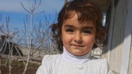 Evinin &ouml;n&uuml;nde oynayan k&uuml;&ccedil;&uuml;k Nazlı'yı sokak k&ouml;pekleri par&ccedil;aladı