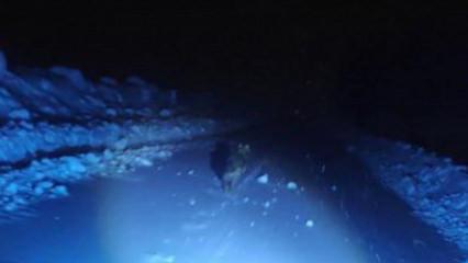 Muş'ta kurt saldırısı! Canını b&ouml;yle kurtardı: Panik anlar kamerada 