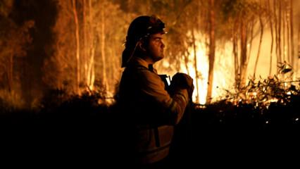 Alevler kontrol altına alınamıyor! Şili cehennemi yaşıyor: 20 can kaybı