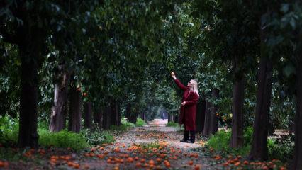 Antalya&rsquo;nın en renkli rotası: Turun&ccedil; Yolu, kış turizmine renk katıyor