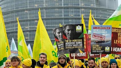 Avrupa Parlamentosu, MERCOSUR ile ticaret anlaşmasını mahkemeye taşıyor