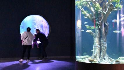 B&ouml;lgenin turizm merkezi: Trabzon Akvaryum 215 bini aşkın ziyaret&ccedil;i ağırladı