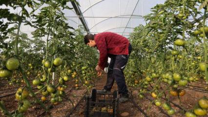 Devlet desteğiyle kendi işlerinin sahibi oldular, &uuml;retime başladılar