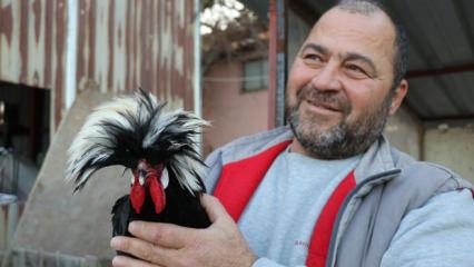 Fransa ve İsvi&ccedil;re'den tavuk getirdi, &uuml;retim yaptığı yer herkesi şaşırttı