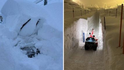 Japonya'da şiddetli kar yağışı can aldı