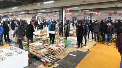 Tarihi fotoğraflarda yer alıyordu! 40 yıl sonra İstanbul'a geri d&ouml;nd&uuml;! Fiyatı d&uuml;şt&uuml;